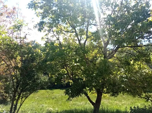 Terreno urbanizable con proyecto en Villafufre — 6