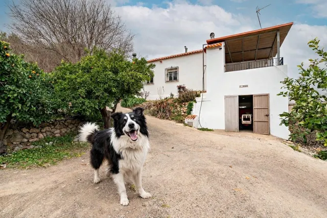Finca con vivienda y explotación agrícola rentable — hogar, 
