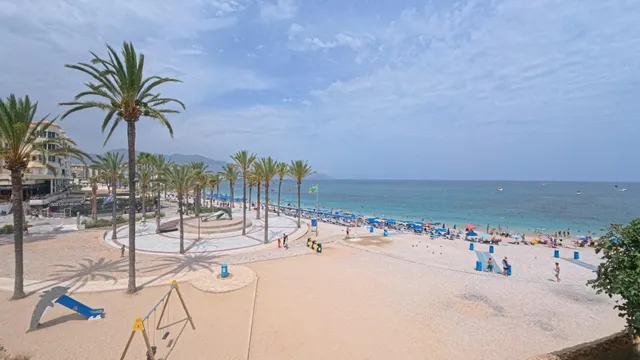 Exclusivo Traspaso de Negocio en El Albir — 15