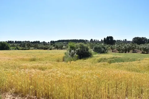 Finca rústica en Cretas