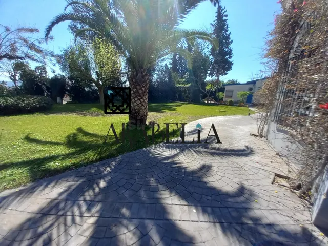 ESPECTACULAR FINCA DE 3.000m2 | 2 VIVIENDAS INDEPENDIENTES |