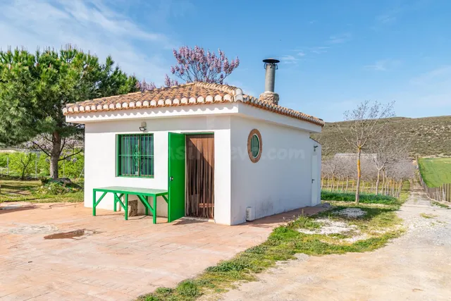 Finca rústica en venta con casa, nave y piscina - foto 2