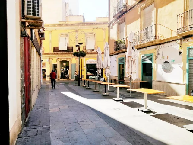 VENTA DE SOLAR EN CALLE PEATONAL EN PASEO DE ALMERIA — 3
