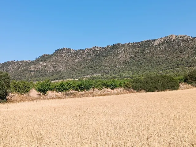 Parcela en venta - Ayuntamiento