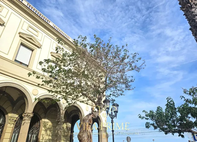 VIVIENDA UNICA EN EDIFICIO EMBLEMATICO NEOCLASICO EN VILASSAR DE MAR — 6