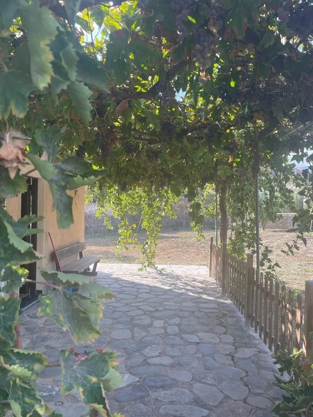 FINCA CON CORTIJO — 10