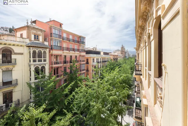 EXCLUSIVA ULTIMA PLANTA CON VISTAS EN GRAN VIA — 6