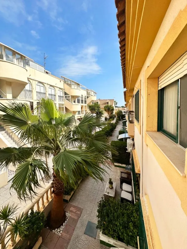 Casa 3 habitaciones 101m² en venta - Lomas de Cabo Roig — 37