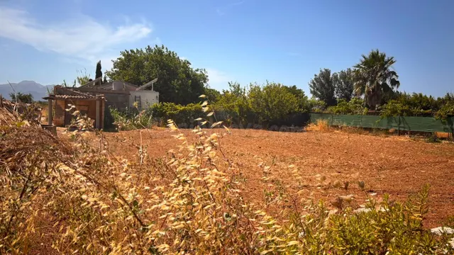 Parcela rústica en Son Serra (Muro) con pozo propio - foto 5