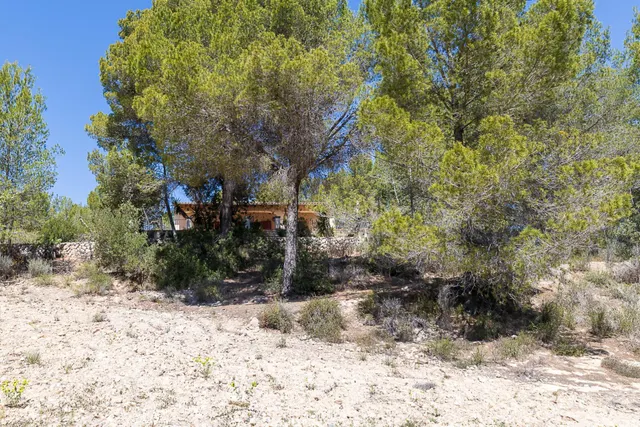SE VENDE FANTASTICA FINCA RÚSTICA CON 35.000M2 DE TERRENO EN CALVIÀ — 38