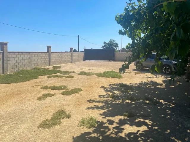 FINCA RUSTICA EN DELTEBRE - foto 2