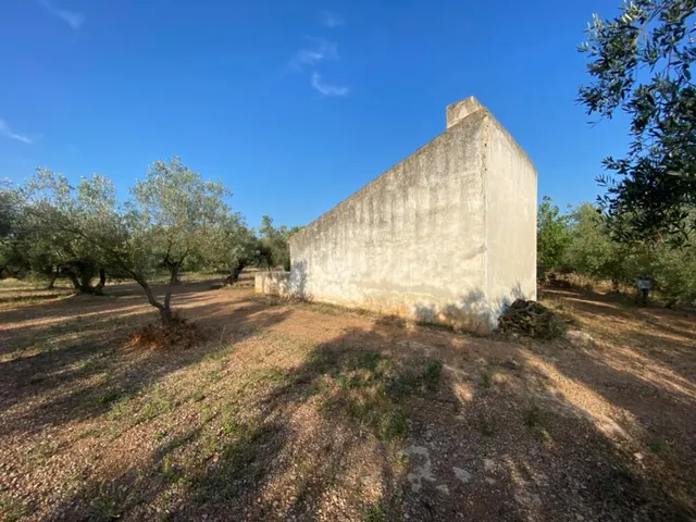Fantástica finca con casa en la Miliana — 20