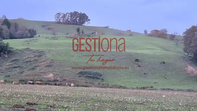 MAJESTUOSA CASA CON 100.000M2 DE TERRENO. LA CAVADA — 6