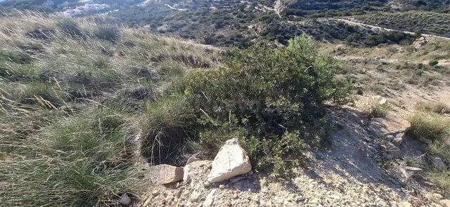 Terreno urbano con vistas al mar en Coveta Fumá – El Campell - foto 3