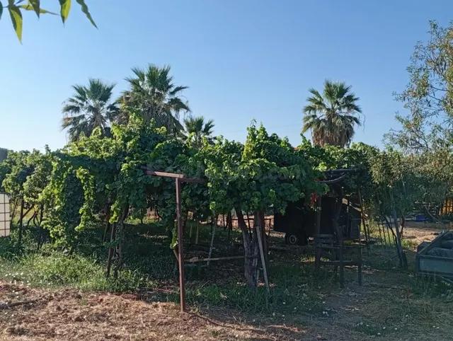Gran oportunidad, suelo urbanizable en Polígono San Jerónimo