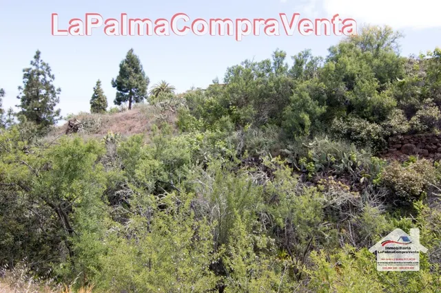 Suelo urbanizable en Venta en Puntagorda Santa Cruz de Tener - foto 3