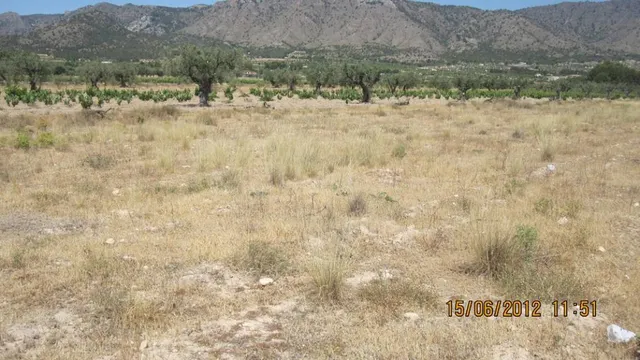 terreno - foto 2