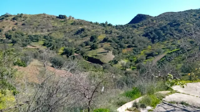 Finca rústica 4 habitaciones 115m² en venta - Marbella — 32