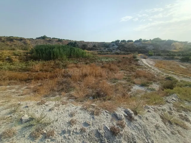 SE VENDE PARCELA RÚSTICA EN ALGUAZAS - foto 3