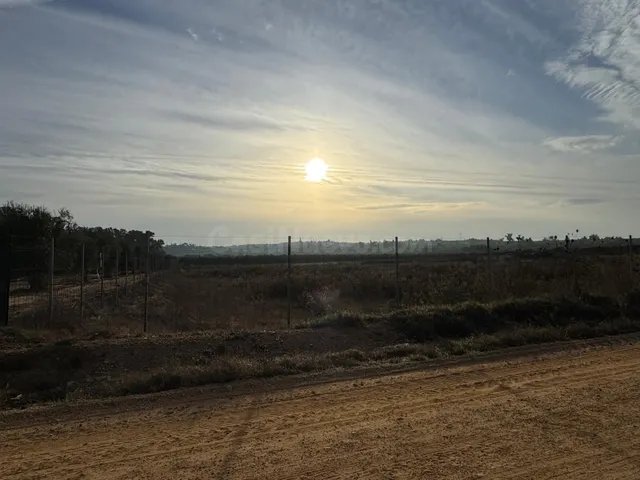 Terreno Rural en Aznalcázar - Oportunidad de Inversión - foto 3