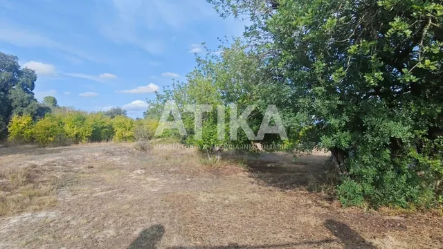 TERRENO RURAL EN VENTA - ONTINYENT - foto 4