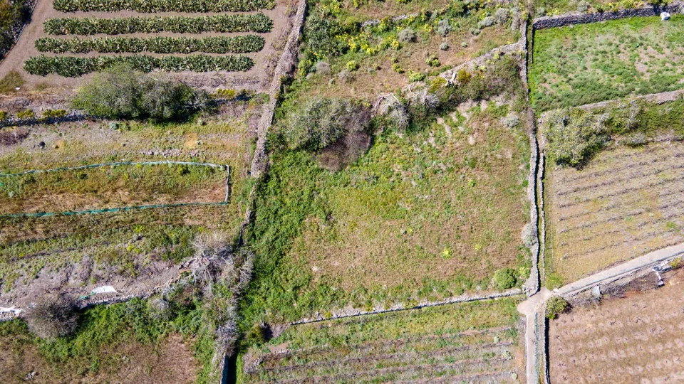Suelo Rústico de Protección Agraria