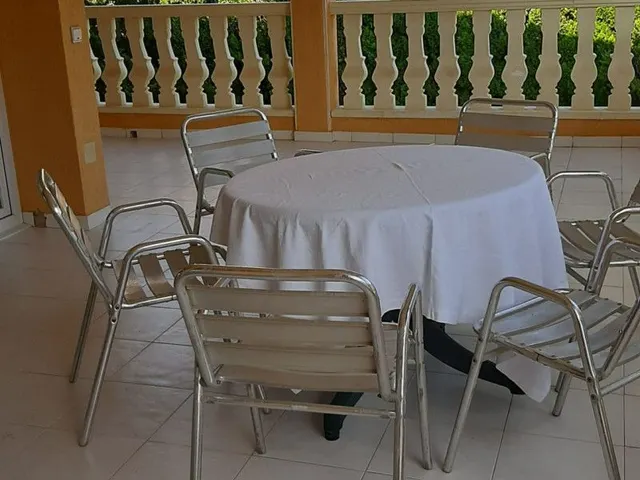 Villa 3 habitaciones 465m² en venta - PLAYA PRINCIPE — 44