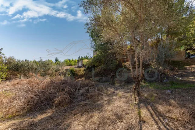 CHALET EN TORRENTE — 41