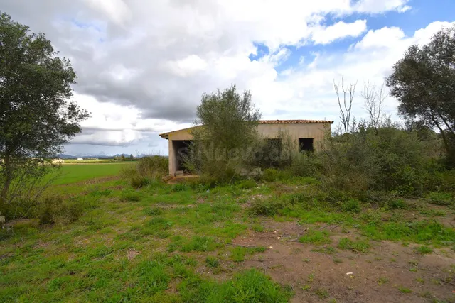 Finca rústica con posibilidad de vivienda en Muro - foto 3