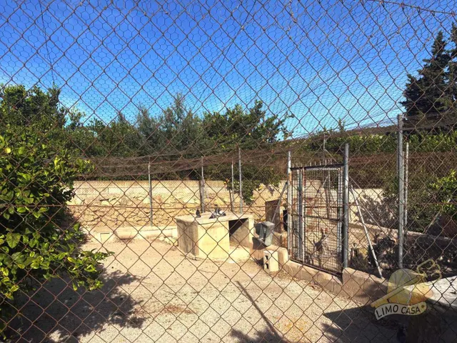 Maison dans les potagers de Ricote — 18
