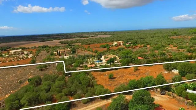 Finca rústica con proyecto en trámite en Ses Salines – zona  - foto 2