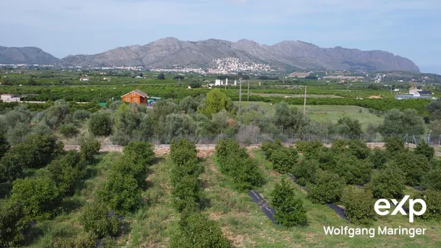 VILLA SEÑORIAL EN BENIDOLEIG | Privacidad, naturaleza y elegancia mediterránea — 18
