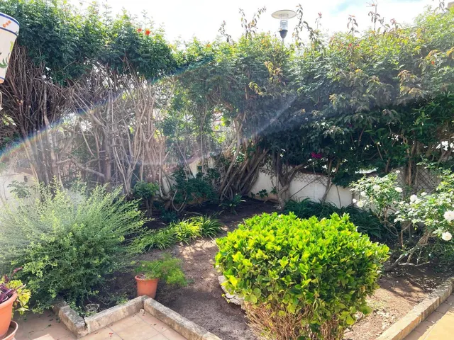 ADOSADO DE 3 habitaciones CON PARKING Y GRAN PISCINA COMUNITARIA CON JARDINES. — 32