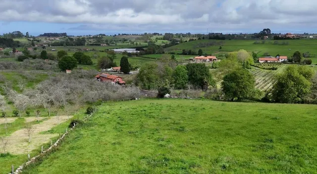 Finca urbanizable en San Justo – 19.000 m2 soleados por 90.0 - foto 3