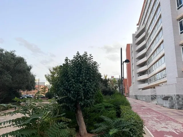Se alquila local en planta baja en Cartagena — 10