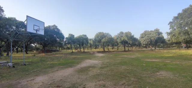PRECIOSA FINCA RÚSTICA CERCANA AL CASCO DE GALAPAGAR - foto 4