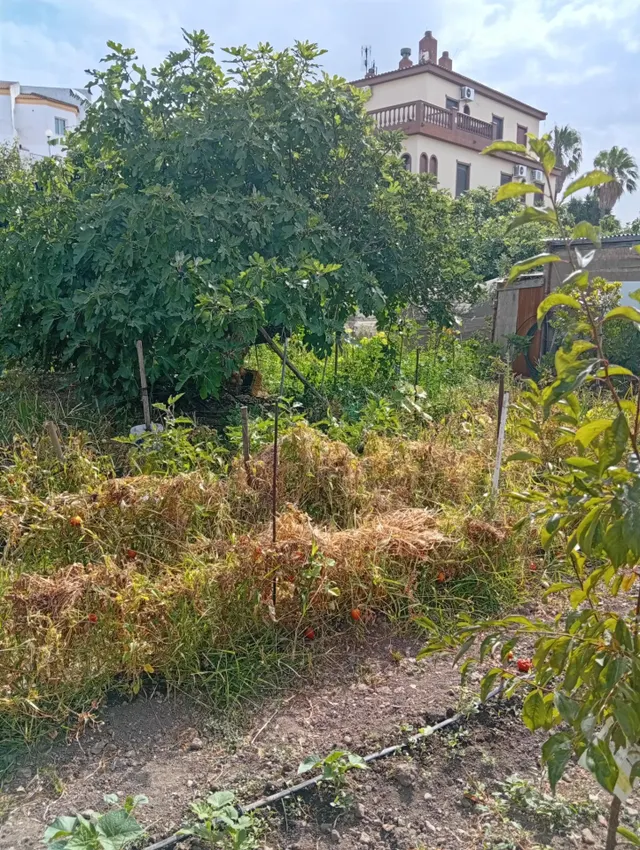 ¡Gran oportunidad en La Villa! Solar urbano de 1600 m2 en Ayamonte — 10