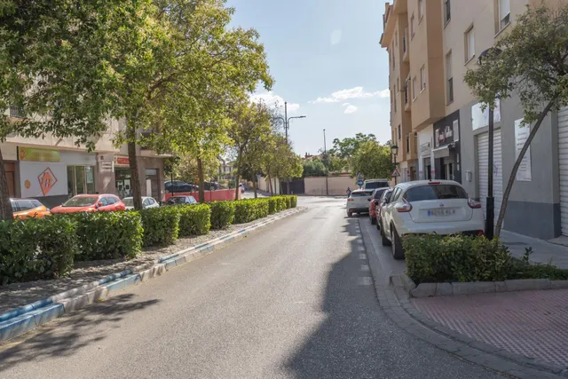 LOCAL DIÁFANO FRENTE AL INSTITUTO Y AL PABELLÓN MUNICIPAL DE OGÍJARES — 27