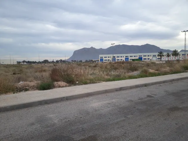 SOLAR INDUSTRIAL EN POLIGONO MOS DEL BOU ALBATERA - foto 2