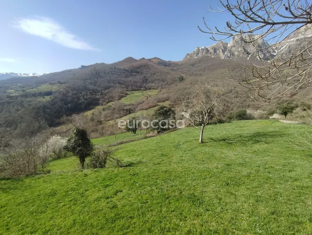 TE DAMOS LA IDEA, EL TERRENO PONE EL ESCENARIO; EL RESTO LO  - foto 5