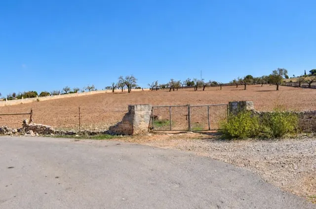 Finca rústica con posibilidad de vivienda en Ariany — 5