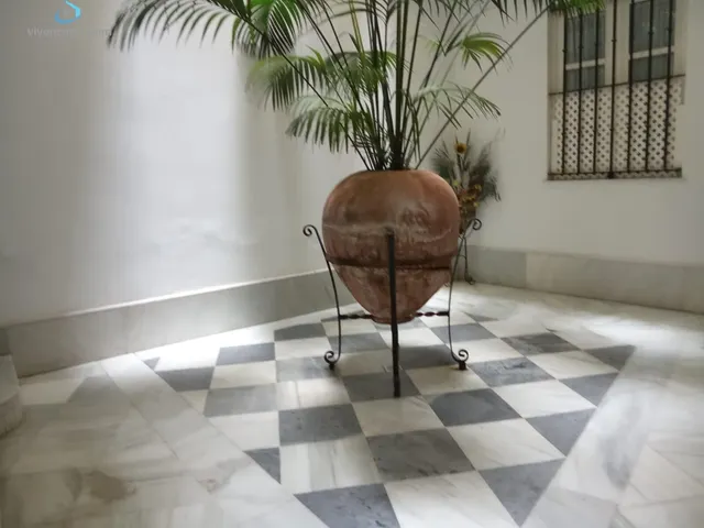 Piso en edificio rehabilitado en zona Plaza Candelaria — 16