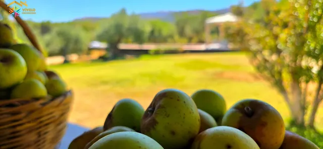 LUXURY HOME EN RONDA EN FINCA DE 10.571 M2 — 28