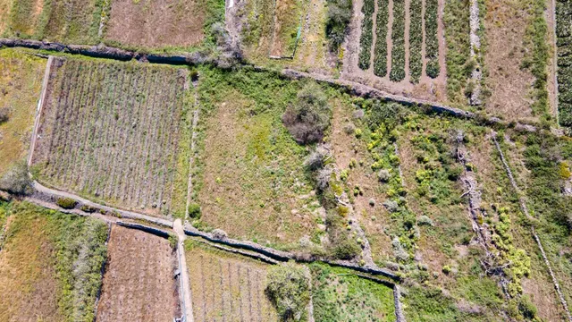 Suelo Rústico de Protección Agraria - foto 2