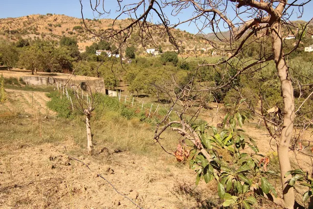 Finca rústica 2 habitaciones 62m² en venta - South of spain — 12
