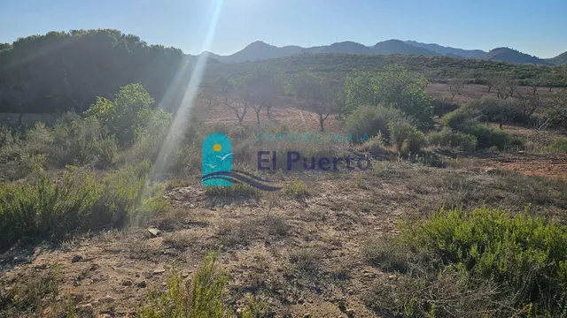 GRAN TERRENO JUNTO A LOS ALTOS DE LAS PALAS – REF. 2112 — 12