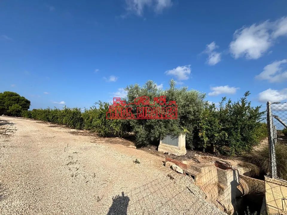 SE VENDE PARCELA EN CAMINO VIEJO DE SANTAPOLA PARA EDIFICAR.