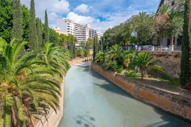 Local seminuevo a pie de calle con patio ajardinado al lado del Paseo Mallorca — 16