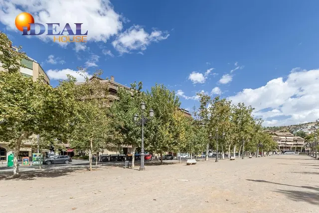 Pisazo en paseo del salón - Granada — 45