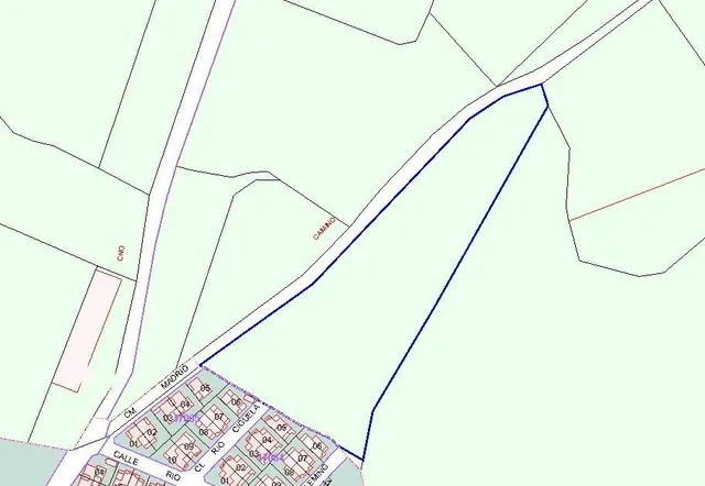 Olivar en Esquivias